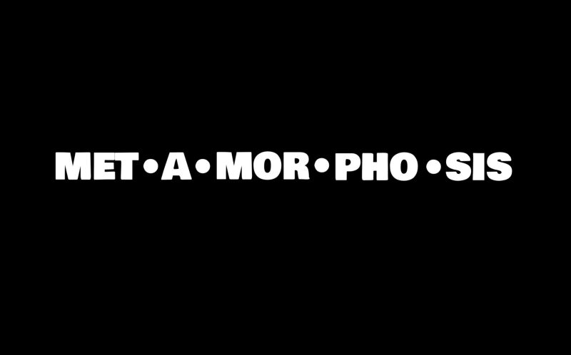the word 'metamorphosis' in white type on a black background