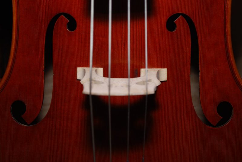 Close up shot of a large string instrument, showing the bridge, strings, and f-holes